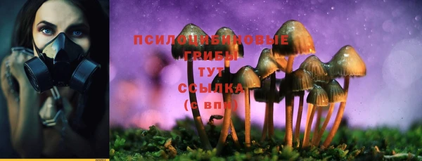спайс Дедовск