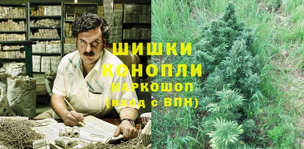 2c-b Михайлов