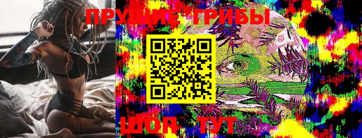 Галлюциногенные грибы Psilocybine cubensis Кашира