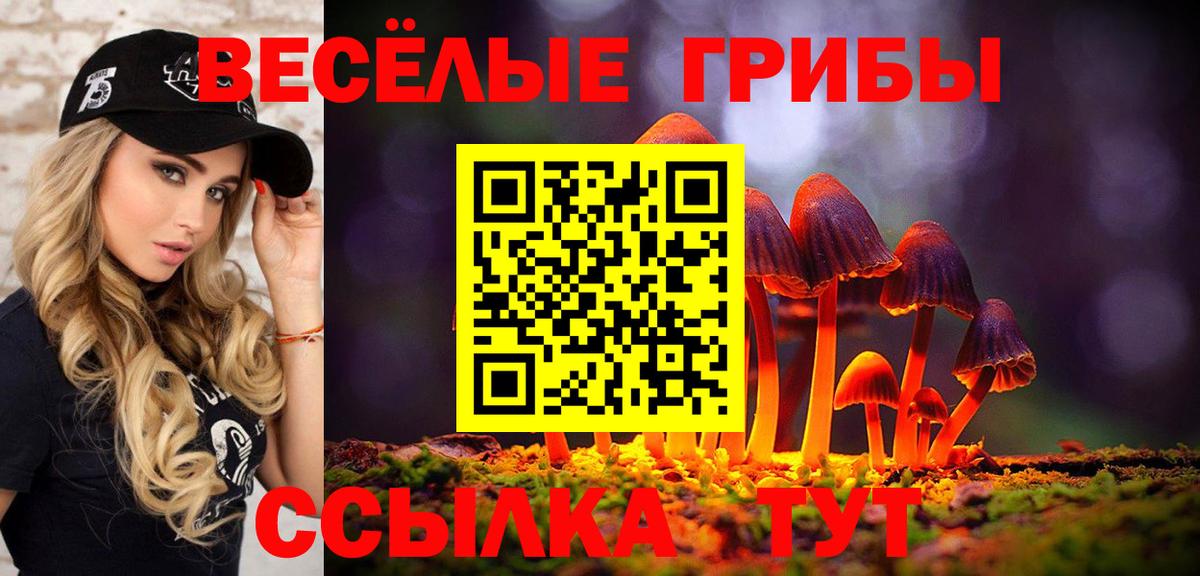 Галлюциногенные грибы MAGIC MUSHROOMS  Вход с VPN  Галлюциногенные грибы Magic Shrooms  Кашира 