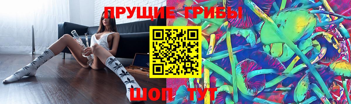 Галлюциногенные грибы мухоморы  Галлюциногенные грибы Psilocybe  Кашира 