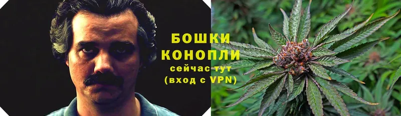 Канабис White Widow  Кашира 