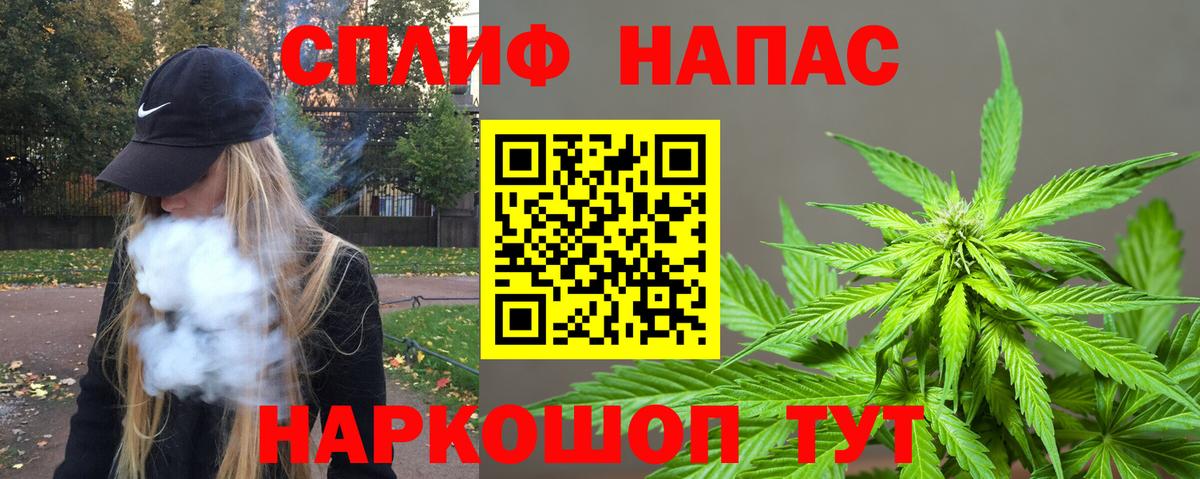 Каннабис гибрид Кашира