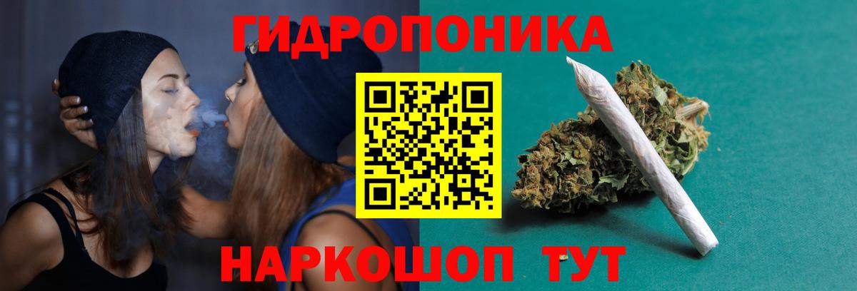 Канабис Кашира